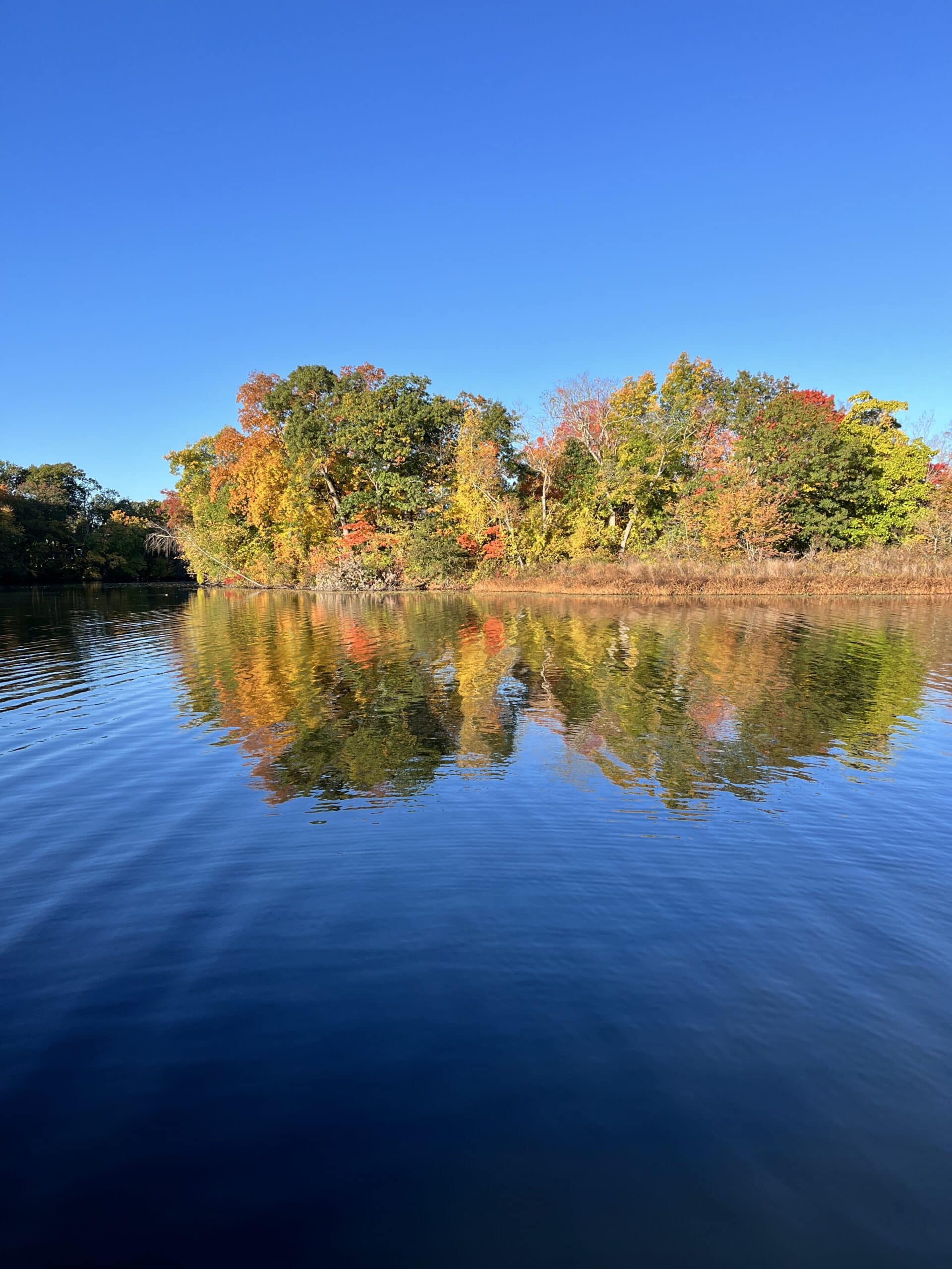 Board of Health joins effort to keep Charles River clean, signs letter to Governor Healey denouncing sewage overflows 
