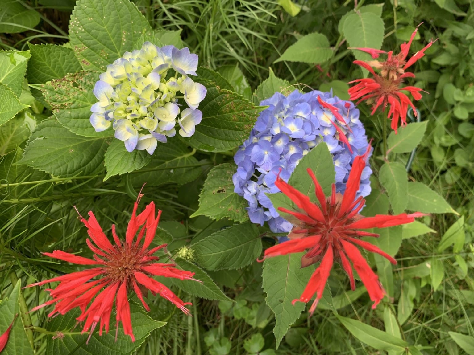 news-archives-waltham-times